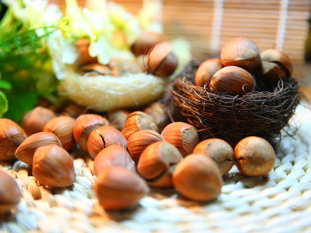 Снимка: pixabay